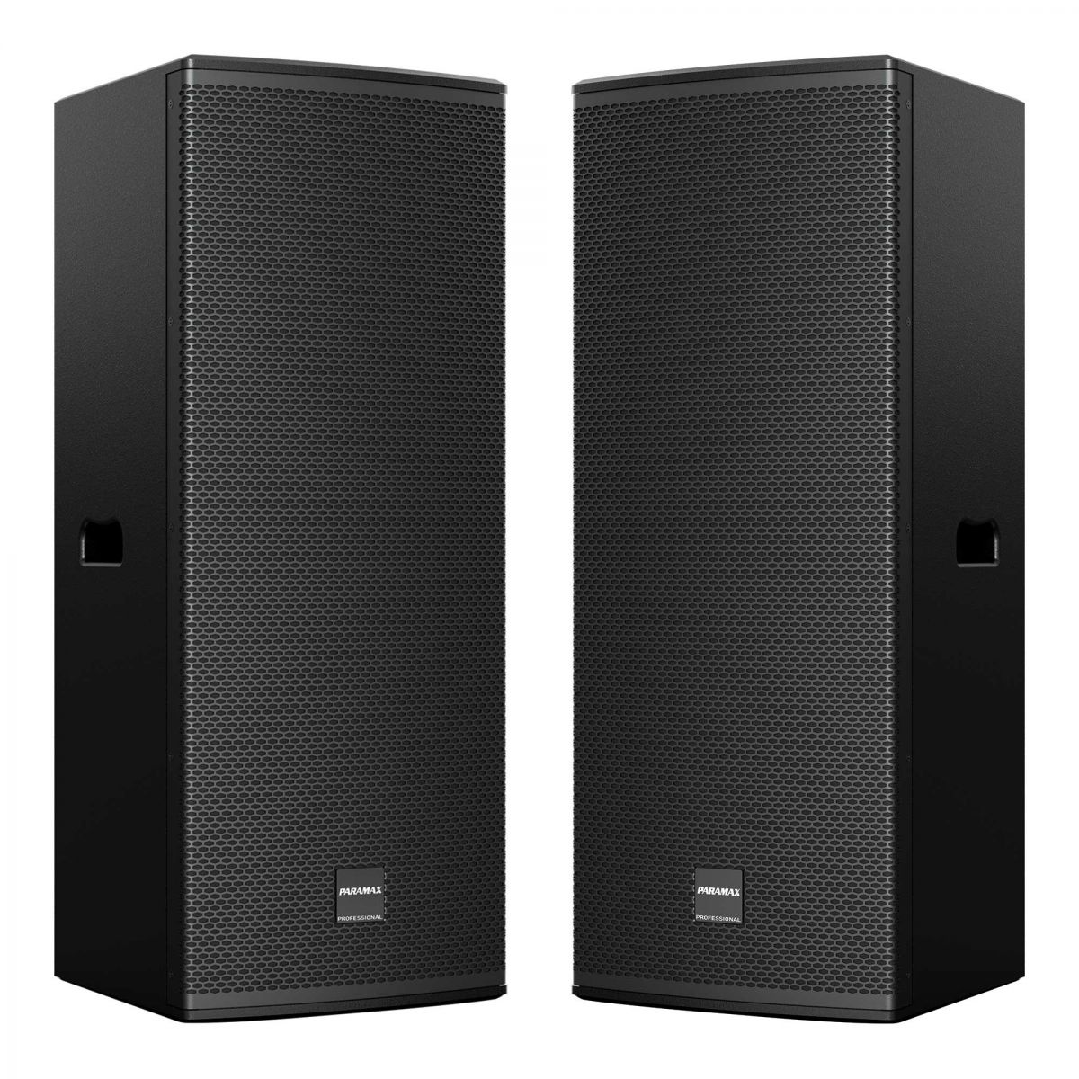 Loa toàn dải PARAMAX V240