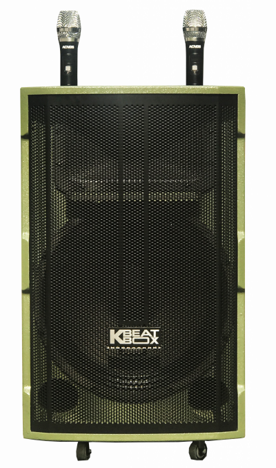 LOA KÉO DI ĐỘNG ACNOS CB39G